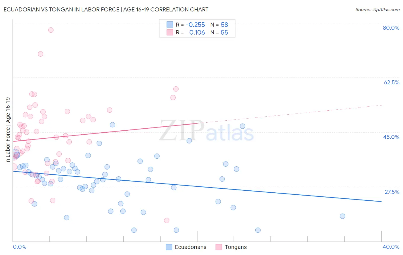 Ecuadorian vs Tongan In Labor Force | Age 16-19