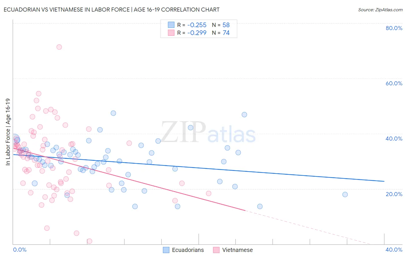 Ecuadorian vs Vietnamese In Labor Force | Age 16-19