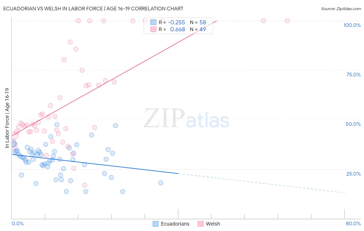 Ecuadorian vs Welsh In Labor Force | Age 16-19