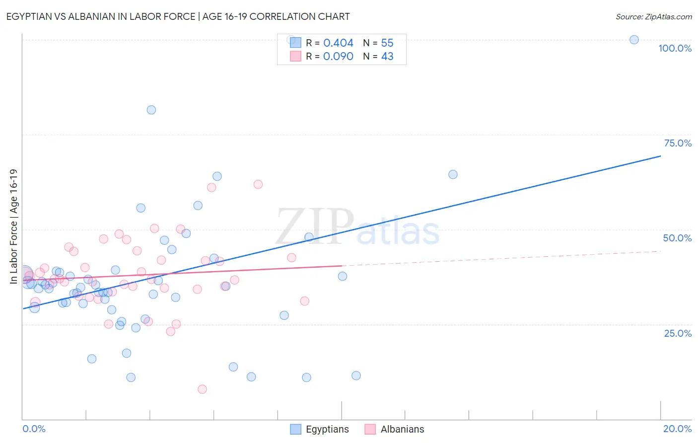 Egyptian vs Albanian In Labor Force | Age 16-19
