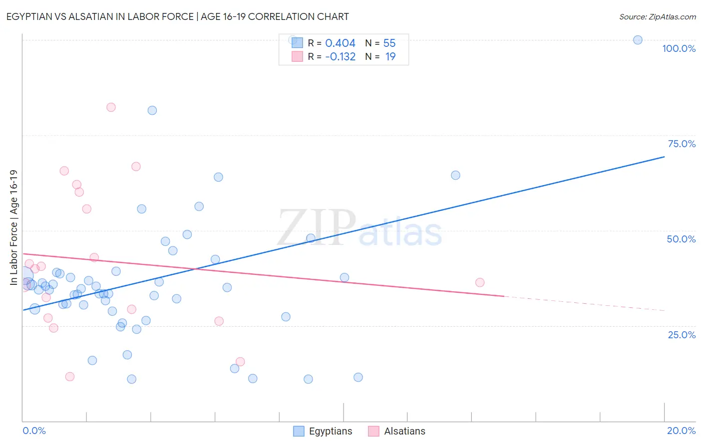 Egyptian vs Alsatian In Labor Force | Age 16-19