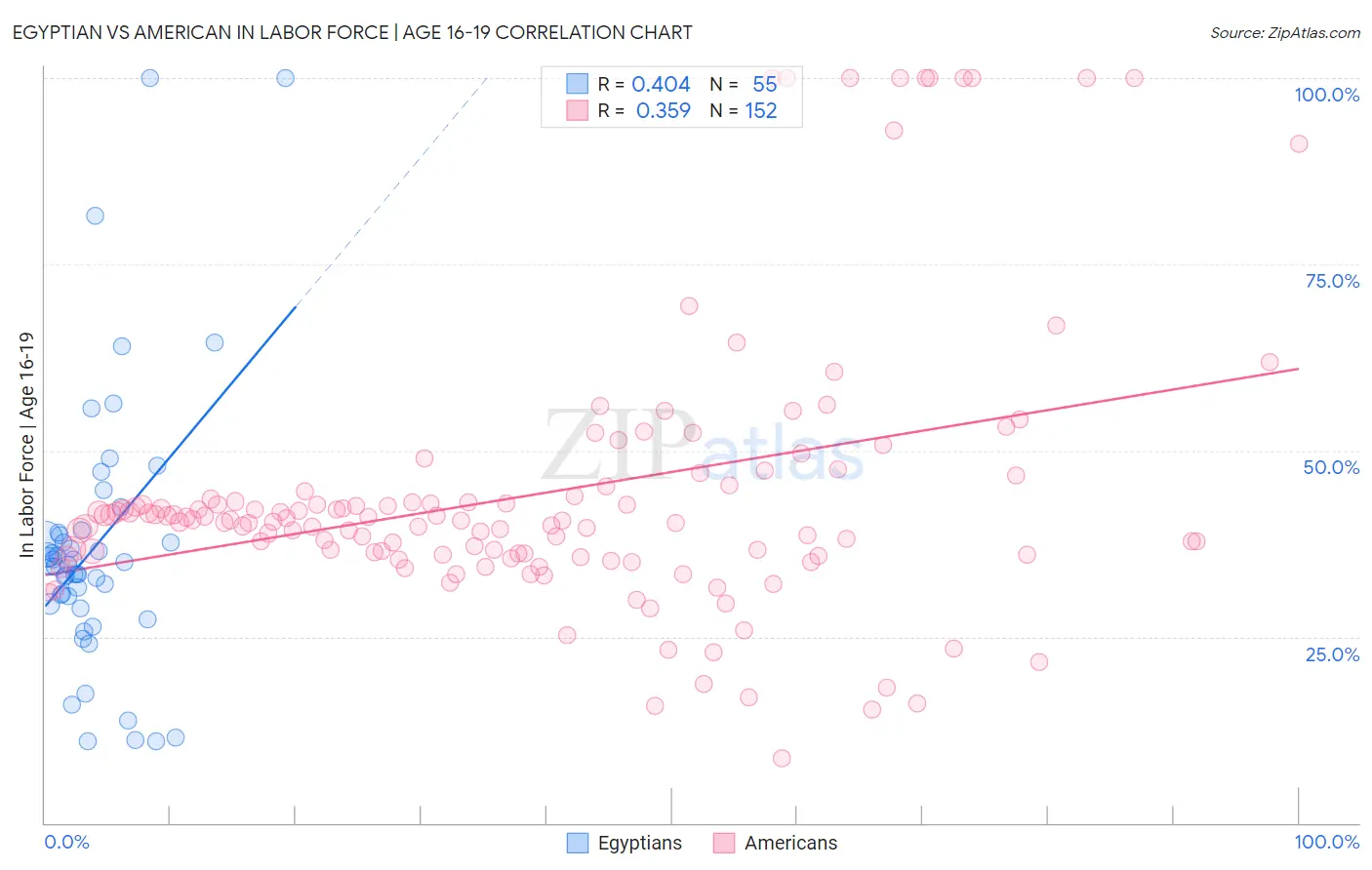 Egyptian vs American In Labor Force | Age 16-19