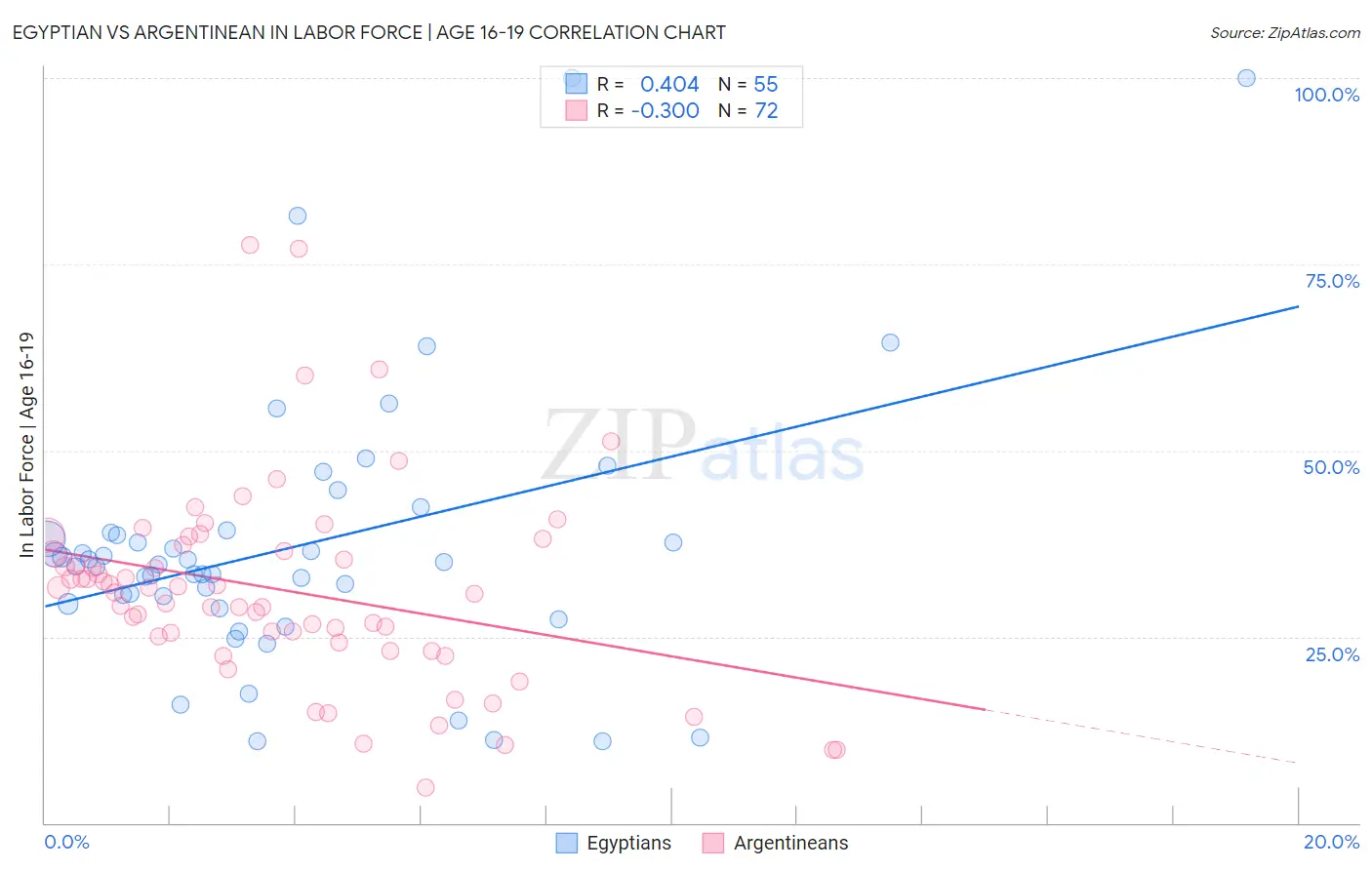Egyptian vs Argentinean In Labor Force | Age 16-19