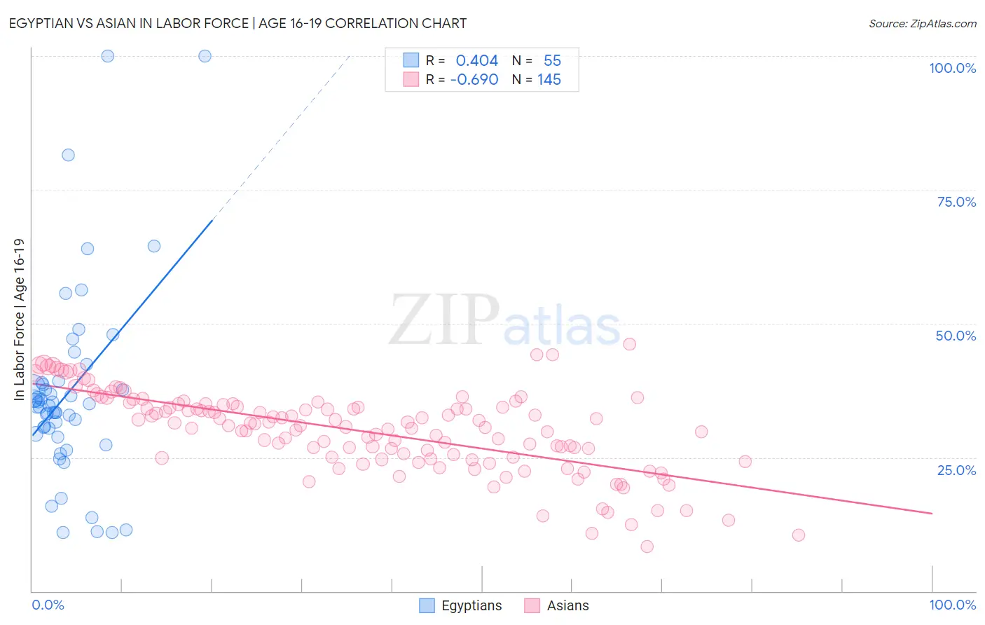 Egyptian vs Asian In Labor Force | Age 16-19