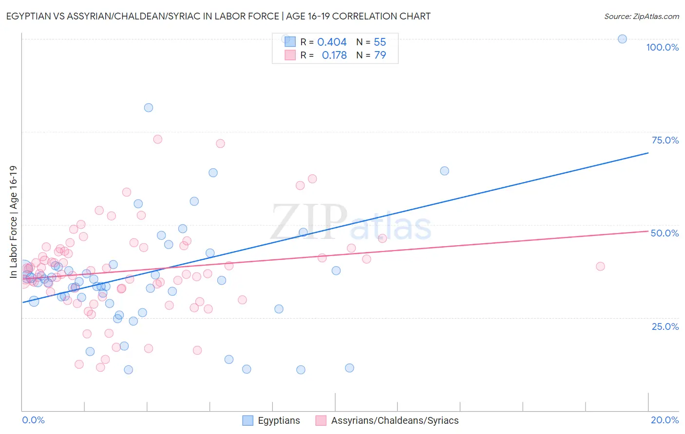 Egyptian vs Assyrian/Chaldean/Syriac In Labor Force | Age 16-19
