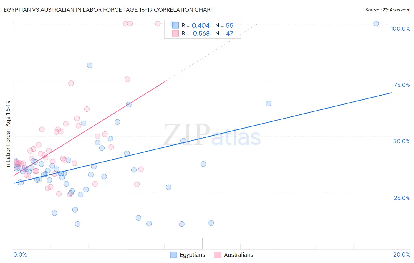 Egyptian vs Australian In Labor Force | Age 16-19