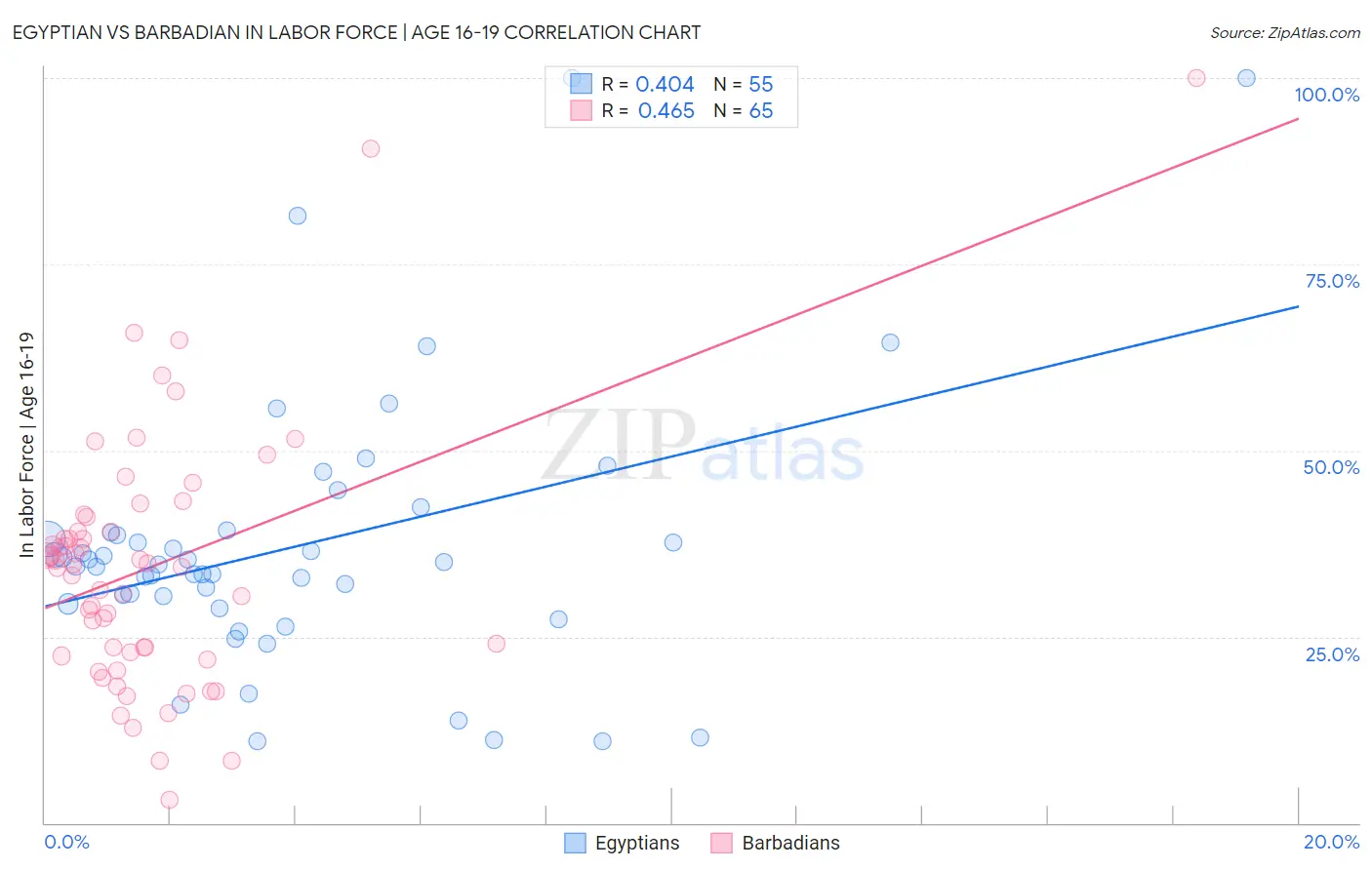 Egyptian vs Barbadian In Labor Force | Age 16-19