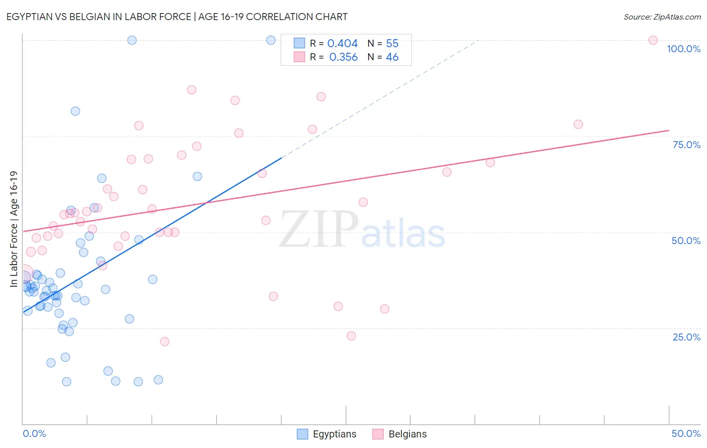 Egyptian vs Belgian In Labor Force | Age 16-19