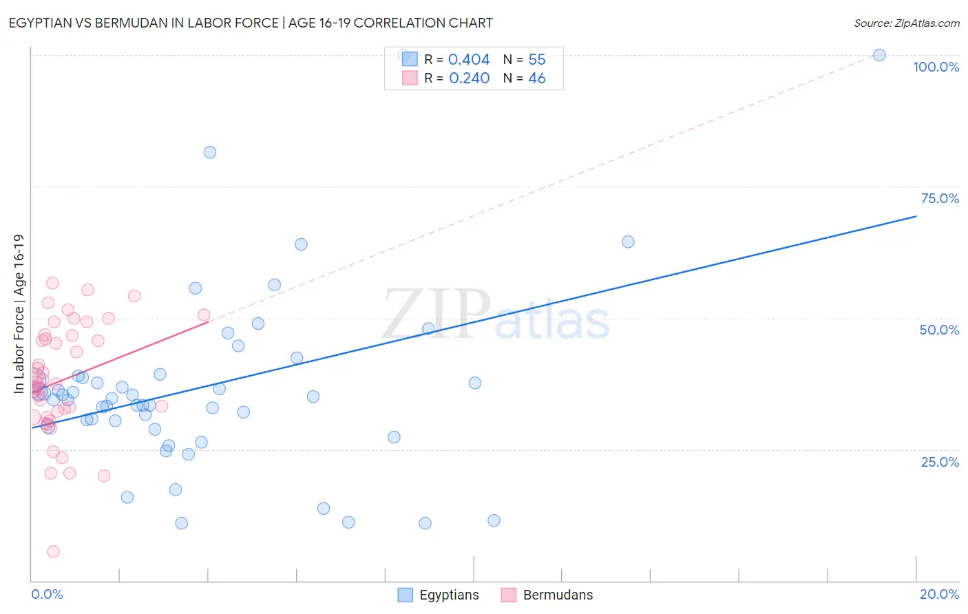 Egyptian vs Bermudan In Labor Force | Age 16-19