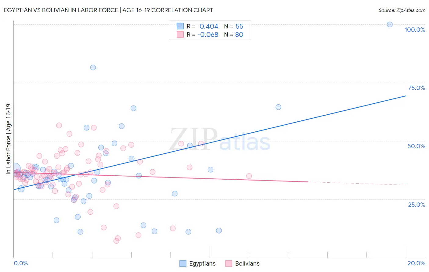 Egyptian vs Bolivian In Labor Force | Age 16-19