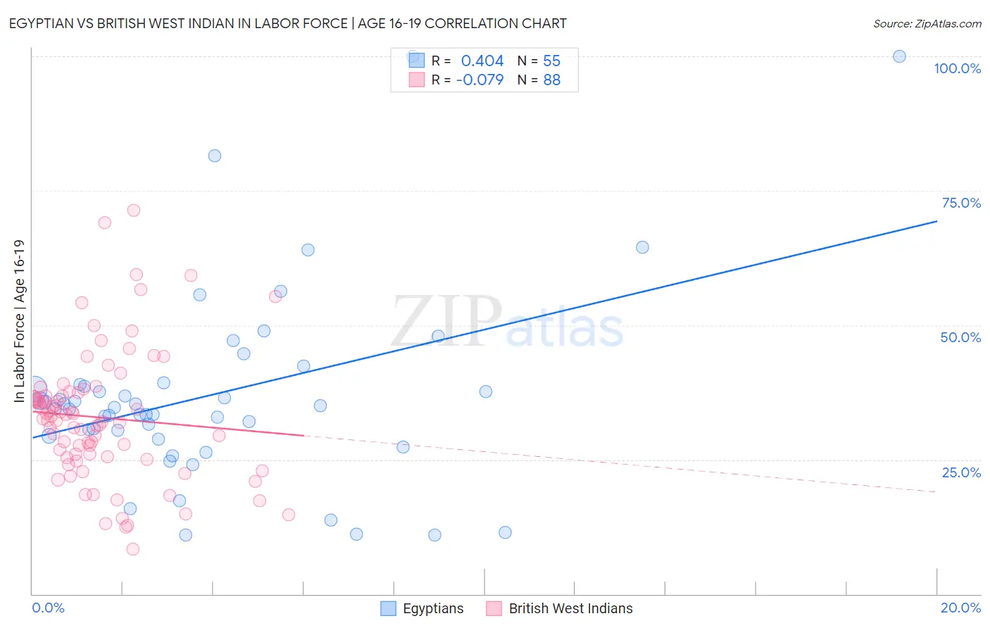 Egyptian vs British West Indian In Labor Force | Age 16-19