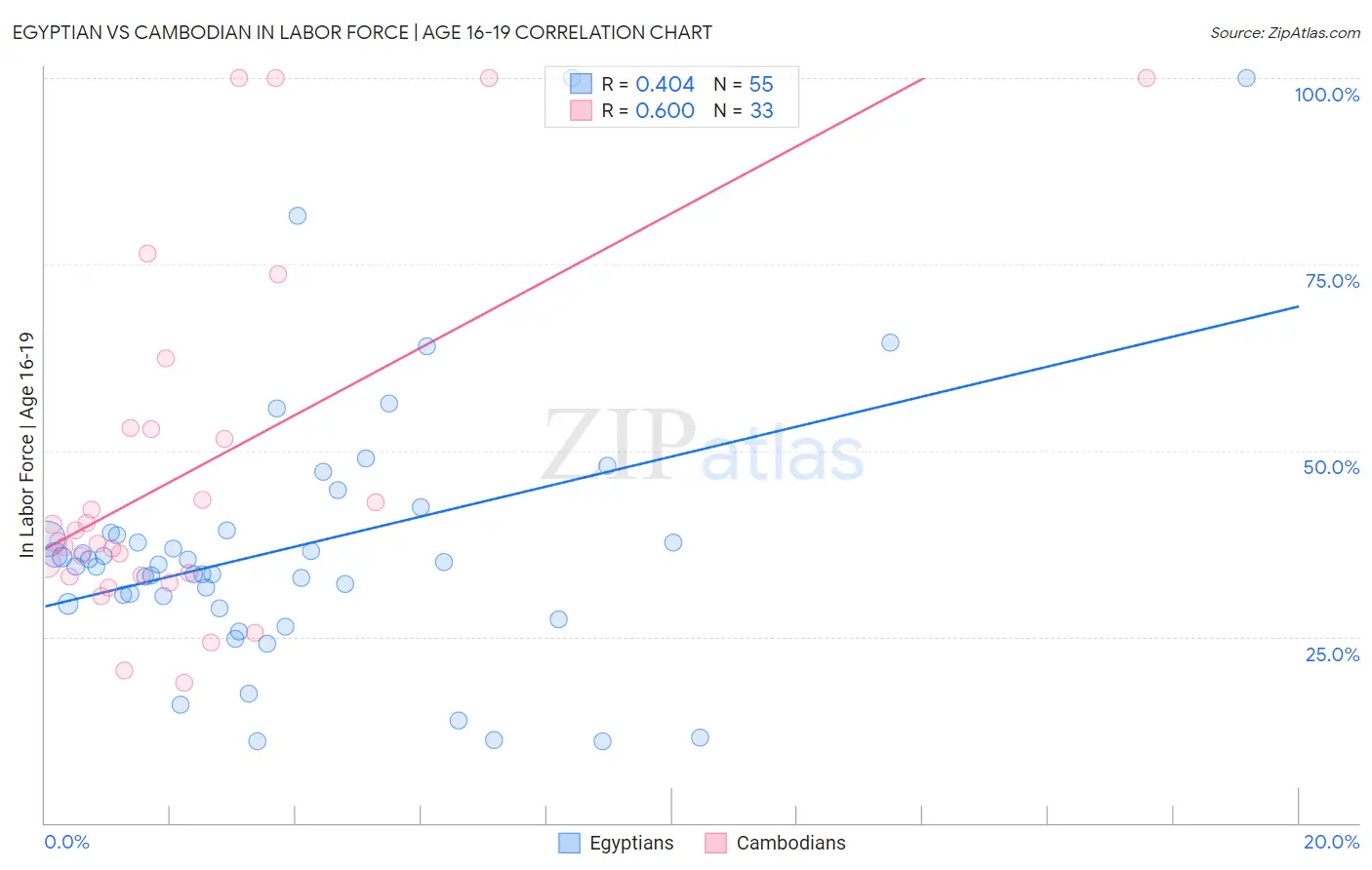 Egyptian vs Cambodian In Labor Force | Age 16-19