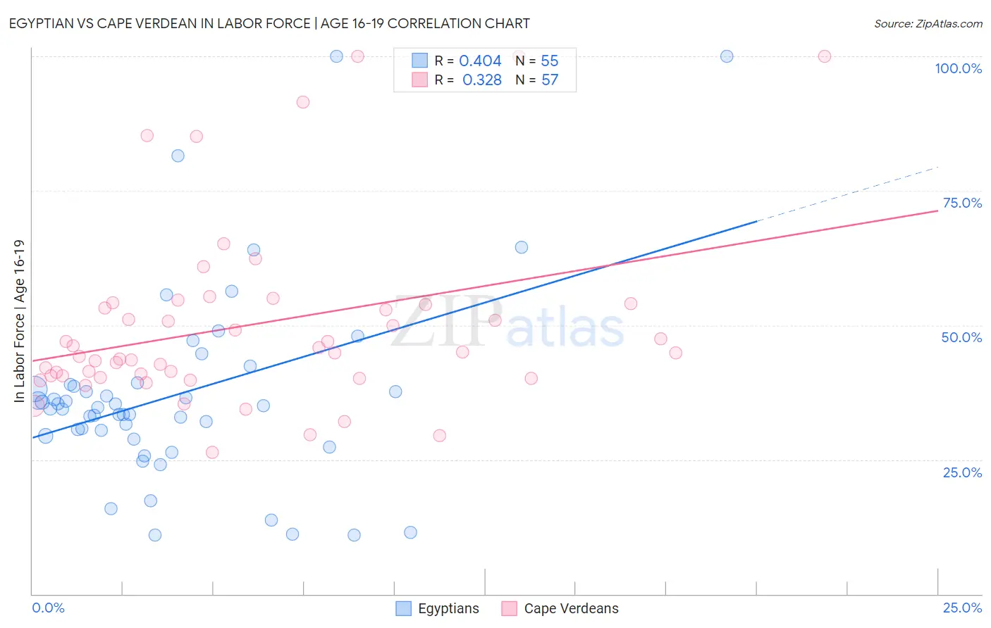 Egyptian vs Cape Verdean In Labor Force | Age 16-19