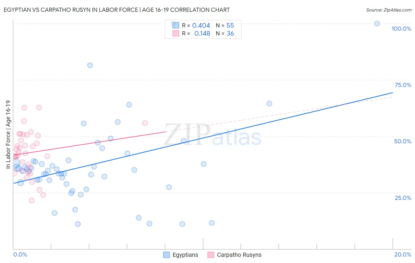 Egyptian vs Carpatho Rusyn In Labor Force | Age 16-19