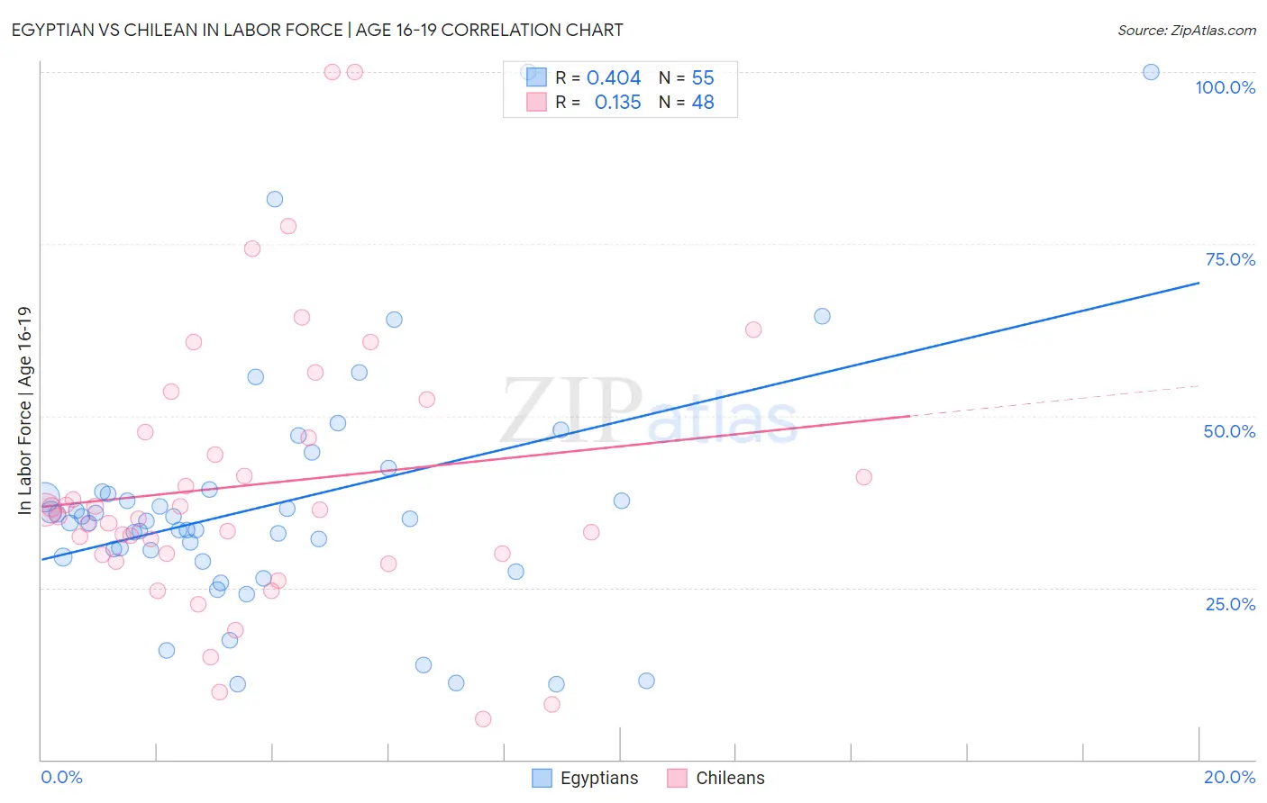 Egyptian vs Chilean In Labor Force | Age 16-19