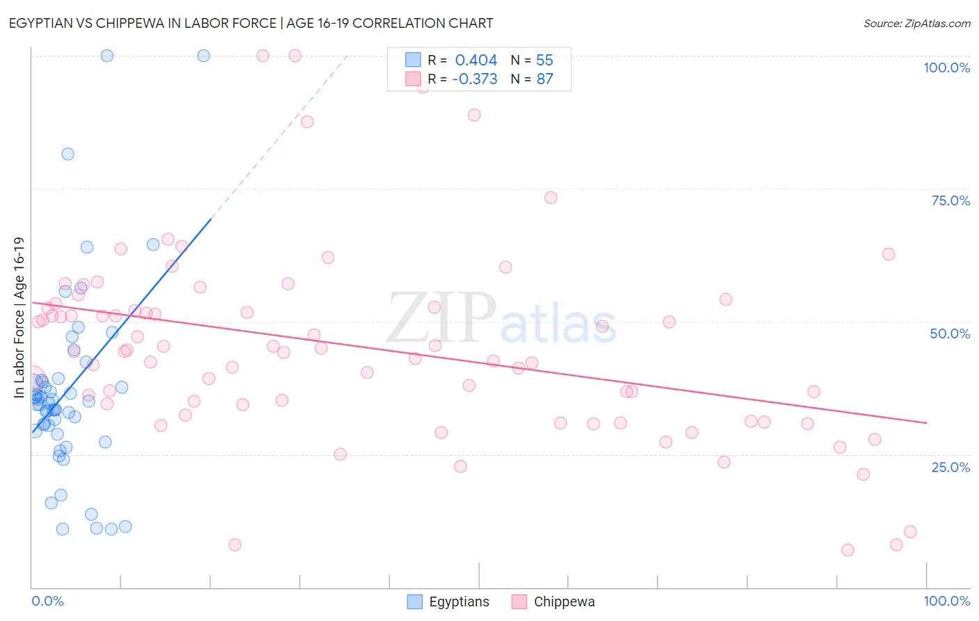 Egyptian vs Chippewa In Labor Force | Age 16-19