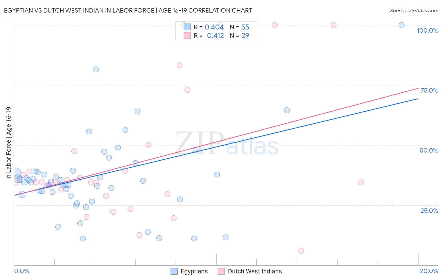 Egyptian vs Dutch West Indian In Labor Force | Age 16-19