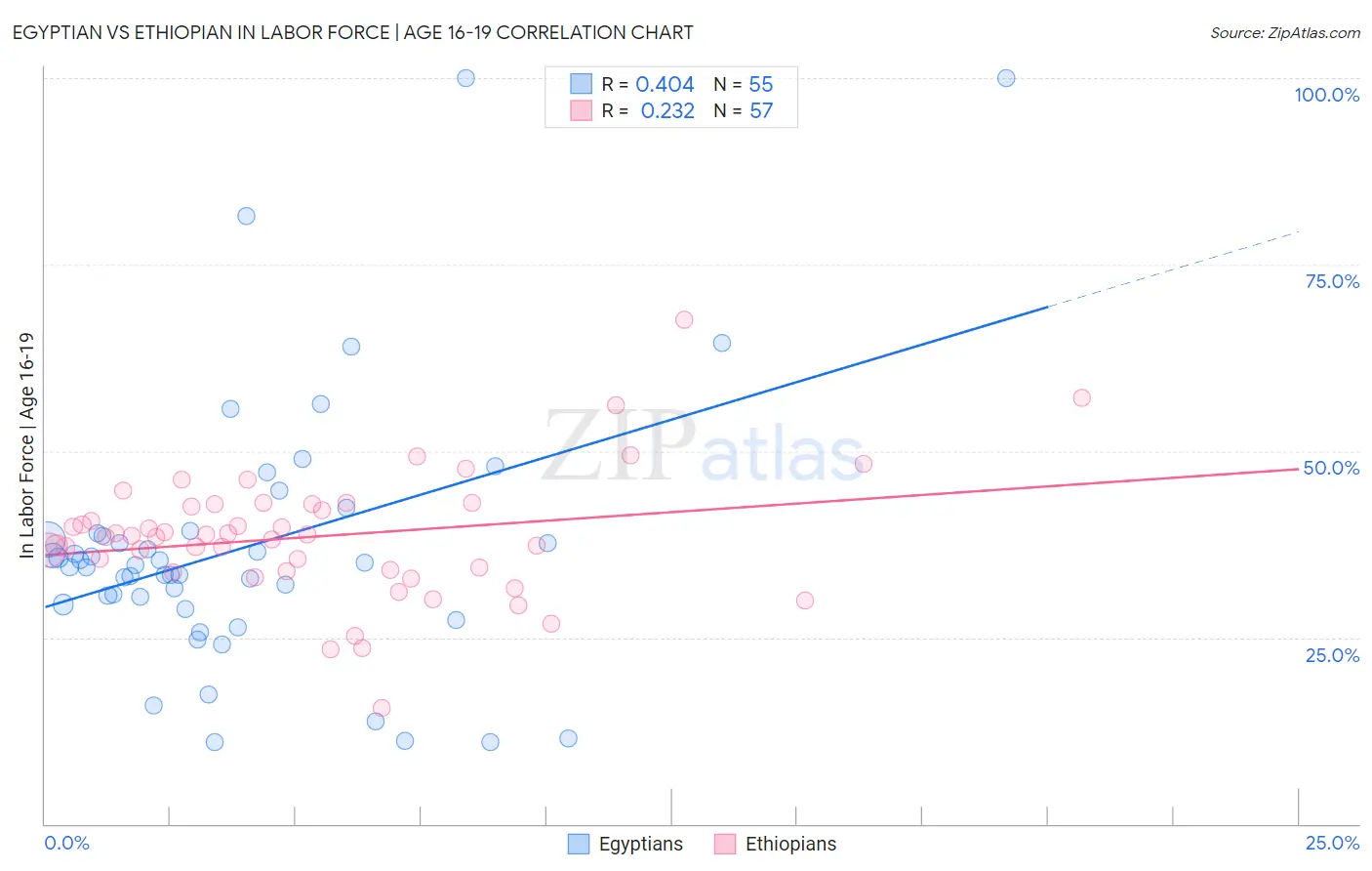 Egyptian vs Ethiopian In Labor Force | Age 16-19