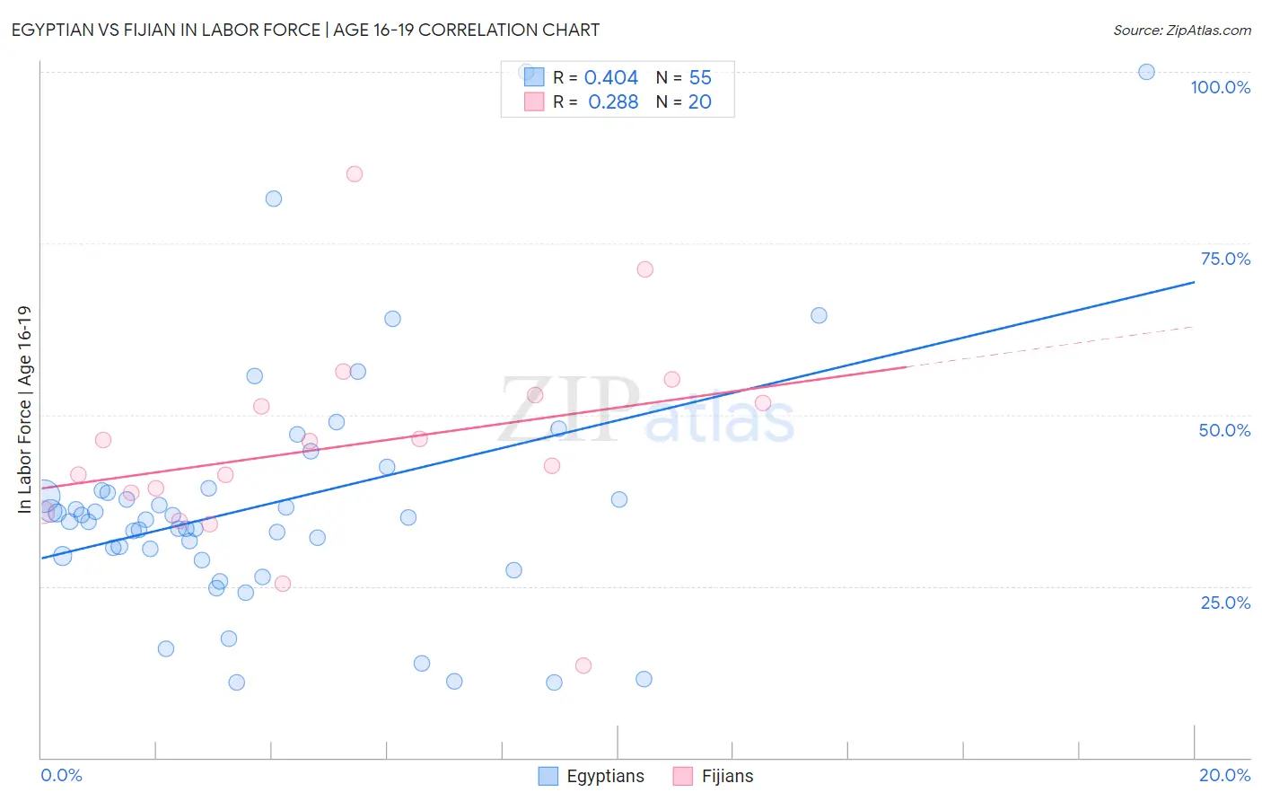 Egyptian vs Fijian In Labor Force | Age 16-19