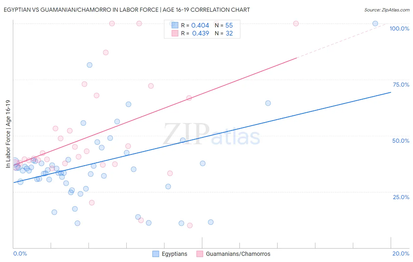 Egyptian vs Guamanian/Chamorro In Labor Force | Age 16-19