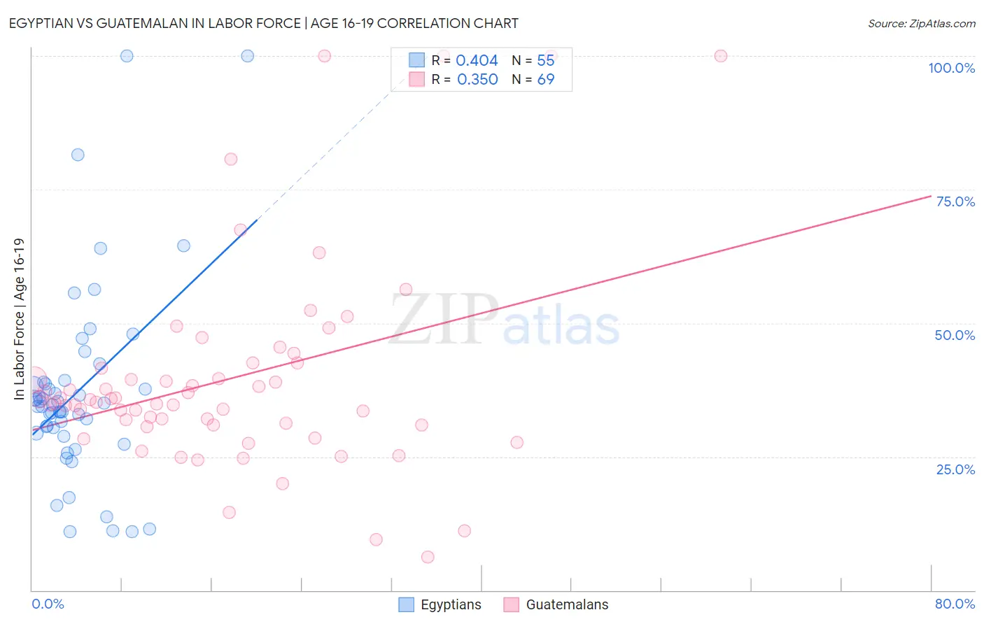 Egyptian vs Guatemalan In Labor Force | Age 16-19