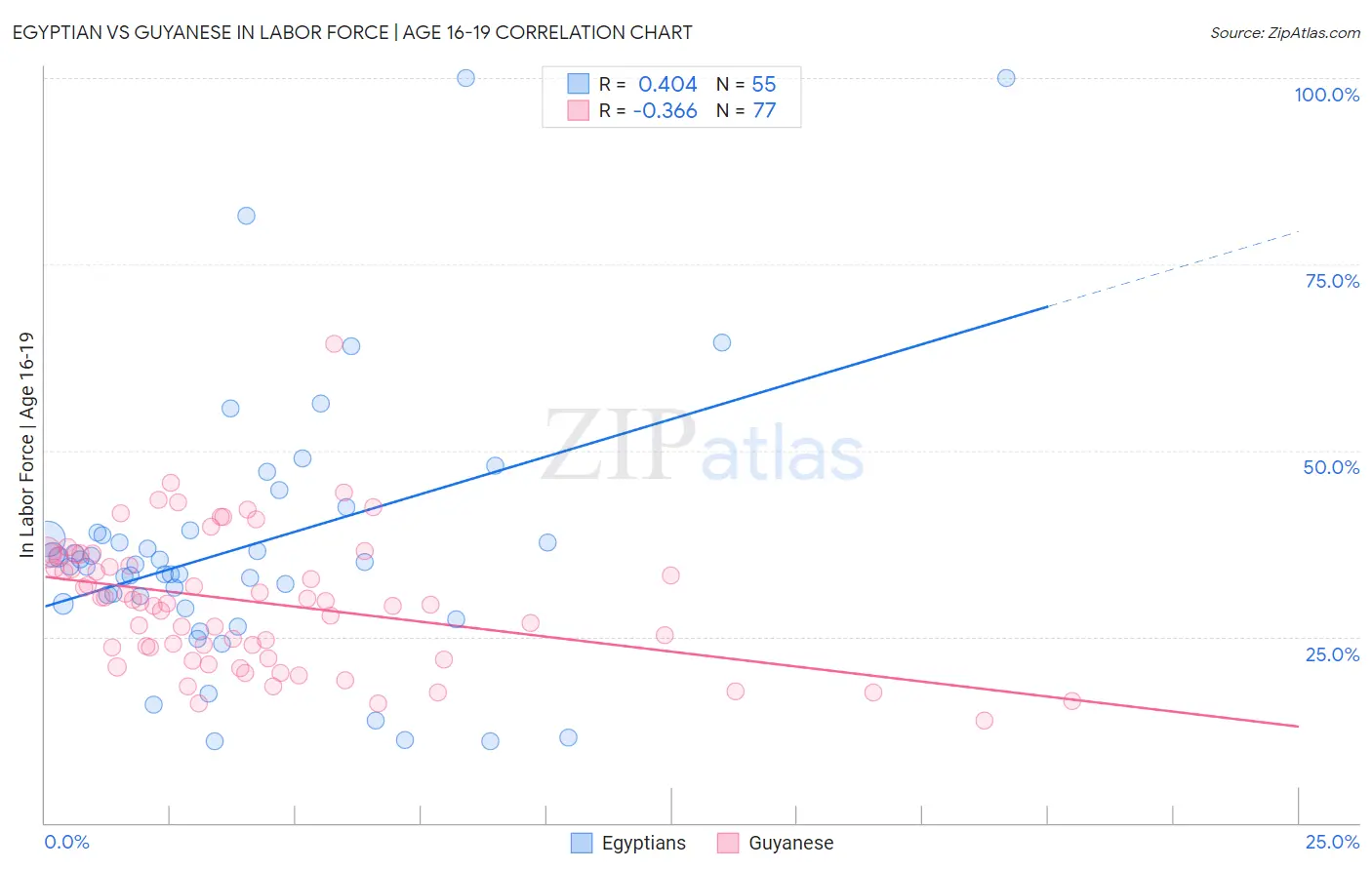 Egyptian vs Guyanese In Labor Force | Age 16-19