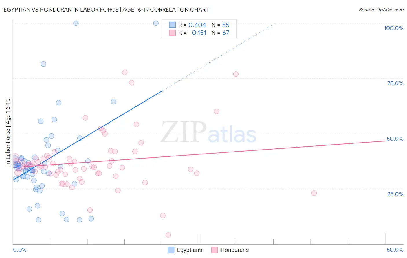 Egyptian vs Honduran In Labor Force | Age 16-19