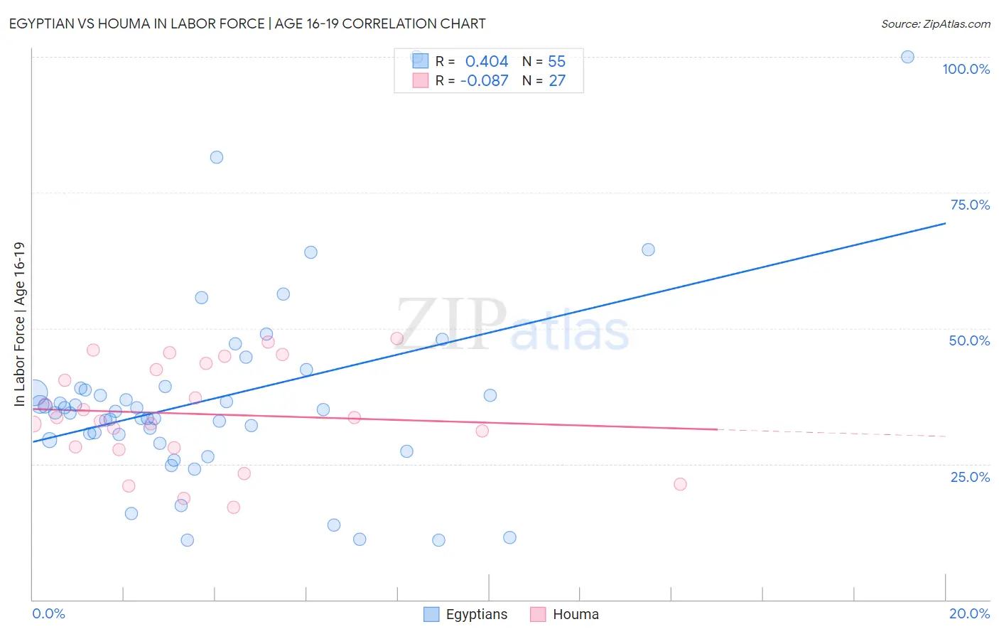 Egyptian vs Houma In Labor Force | Age 16-19
