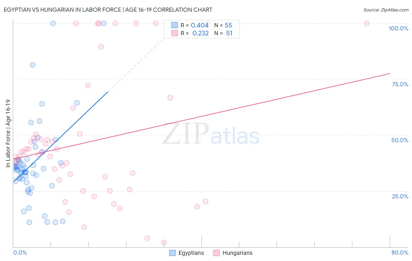 Egyptian vs Hungarian In Labor Force | Age 16-19
