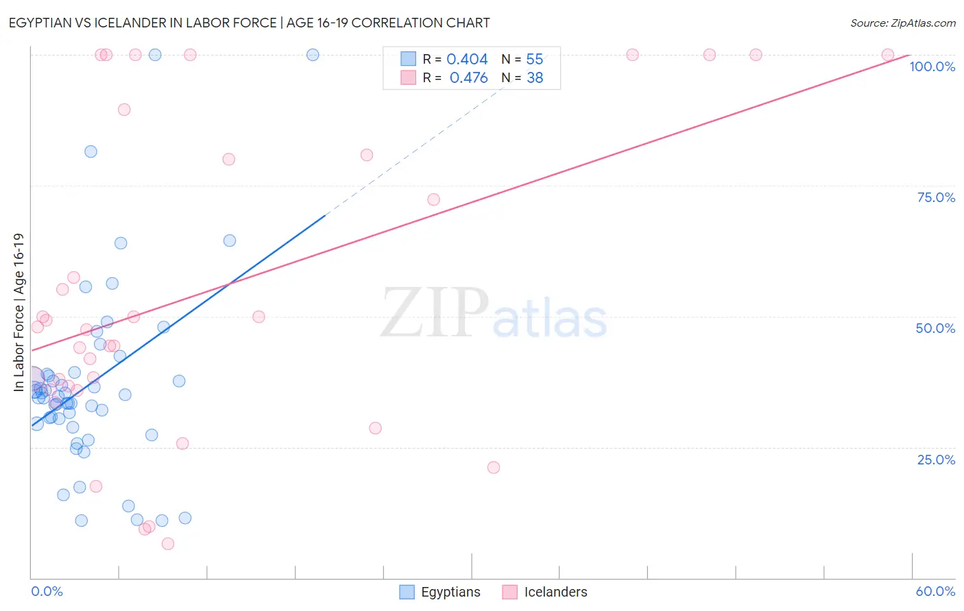 Egyptian vs Icelander In Labor Force | Age 16-19