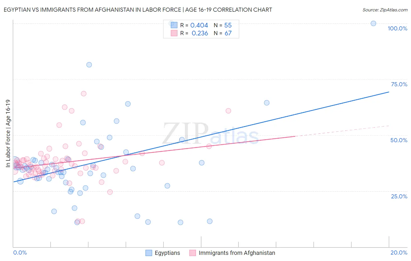 Egyptian vs Immigrants from Afghanistan In Labor Force | Age 16-19
