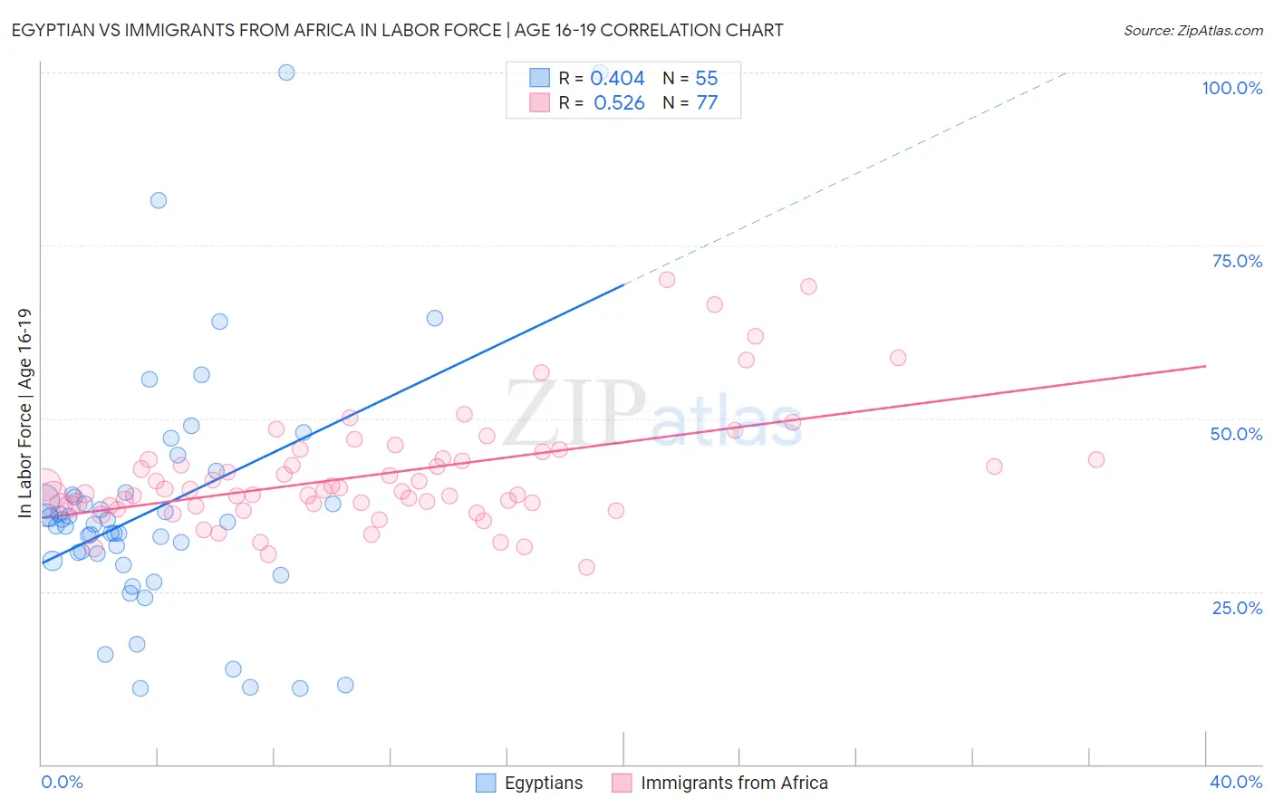 Egyptian vs Immigrants from Africa In Labor Force | Age 16-19