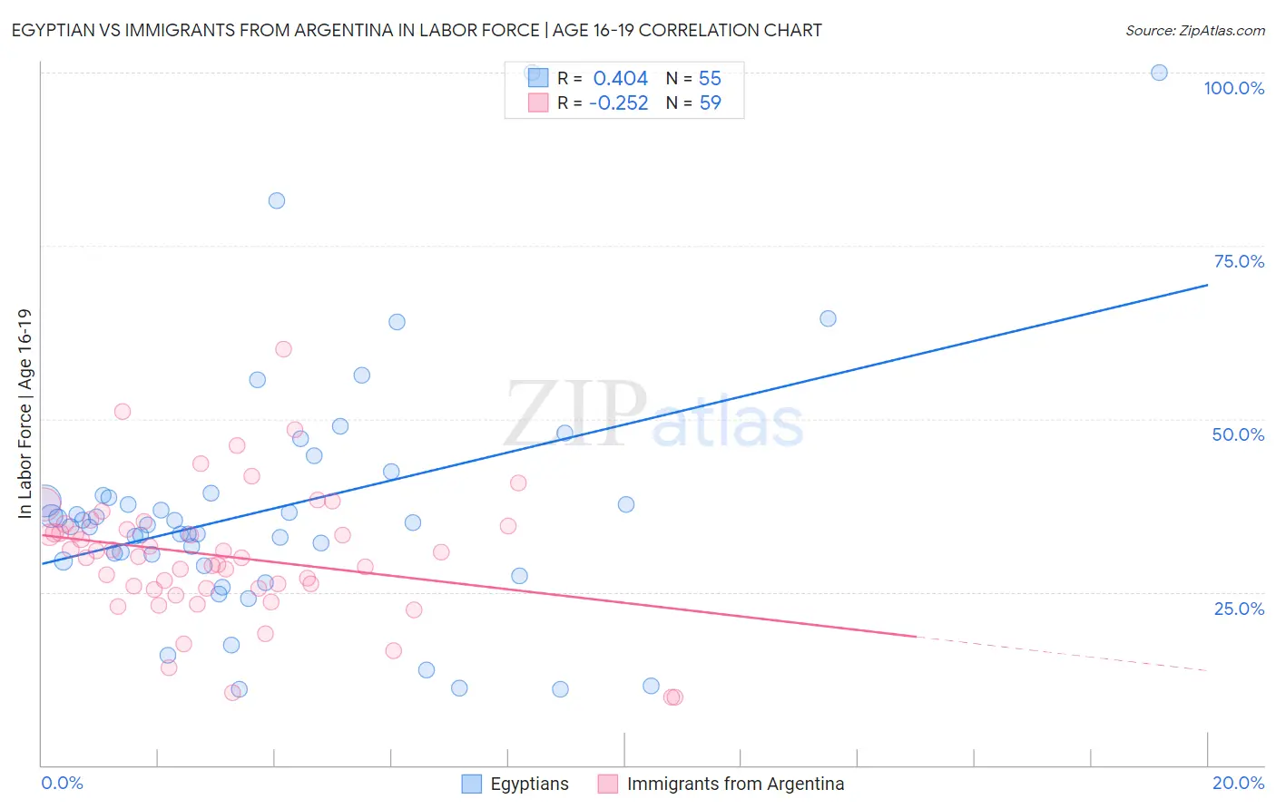 Egyptian vs Immigrants from Argentina In Labor Force | Age 16-19