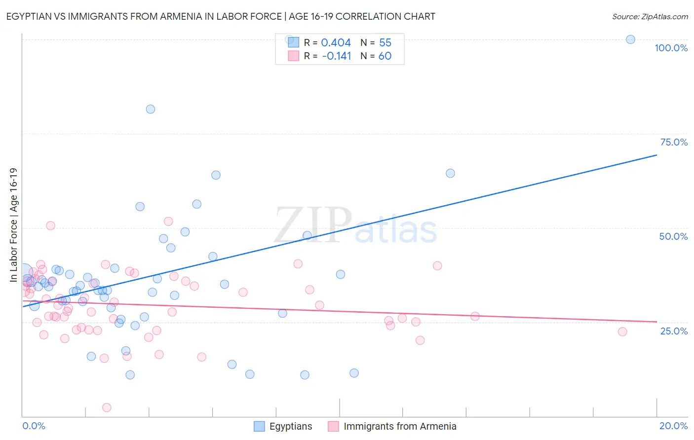 Egyptian vs Immigrants from Armenia In Labor Force | Age 16-19