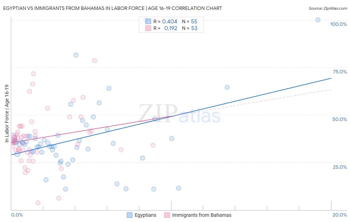 Egyptian vs Immigrants from Bahamas In Labor Force | Age 16-19