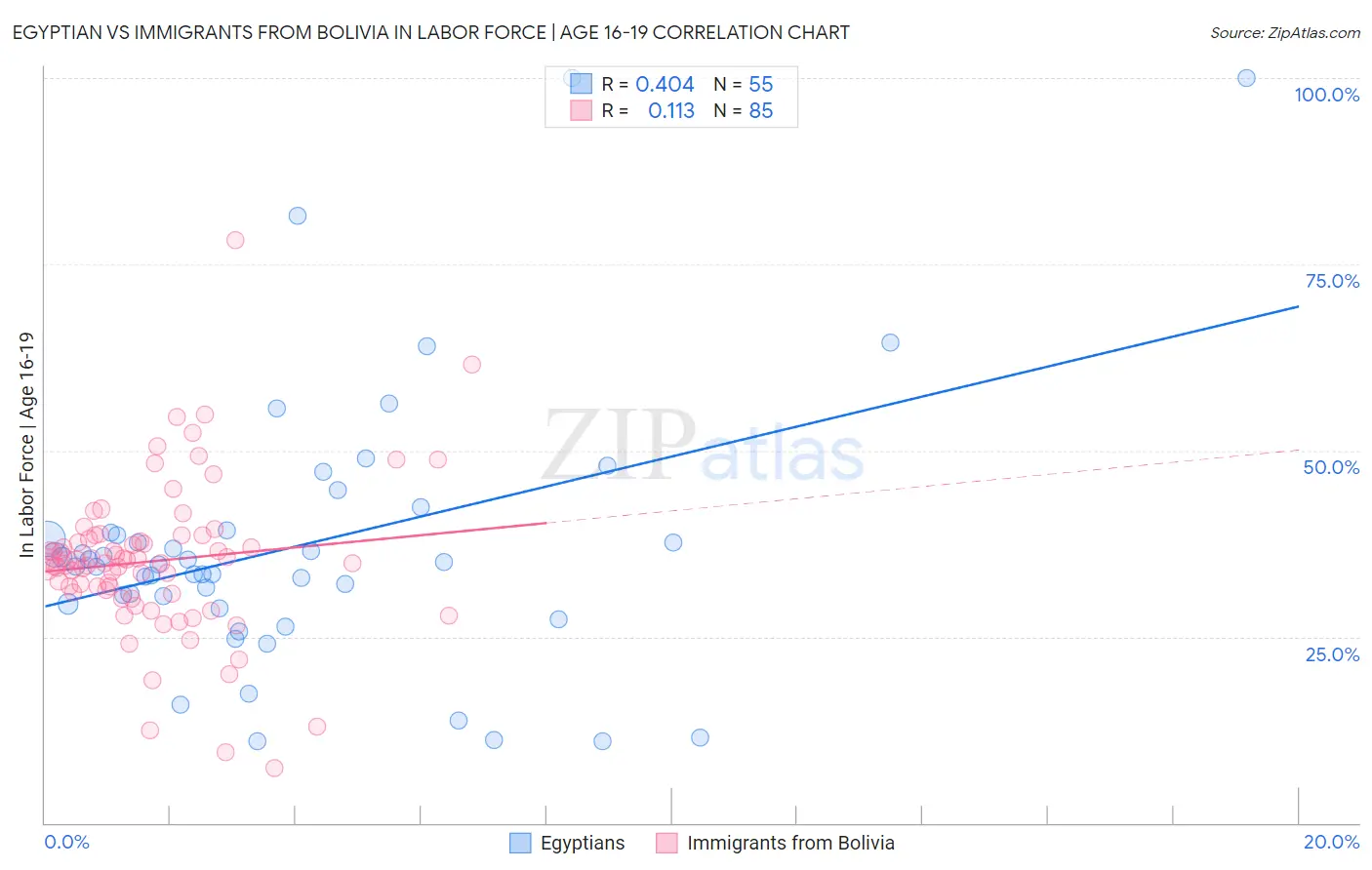Egyptian vs Immigrants from Bolivia In Labor Force | Age 16-19