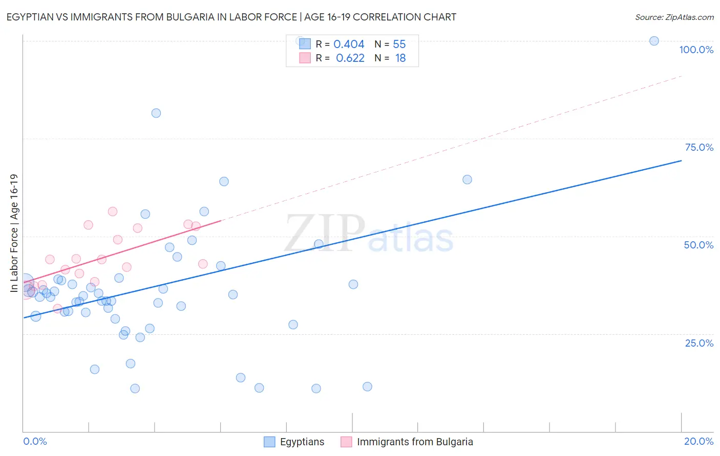 Egyptian vs Immigrants from Bulgaria In Labor Force | Age 16-19