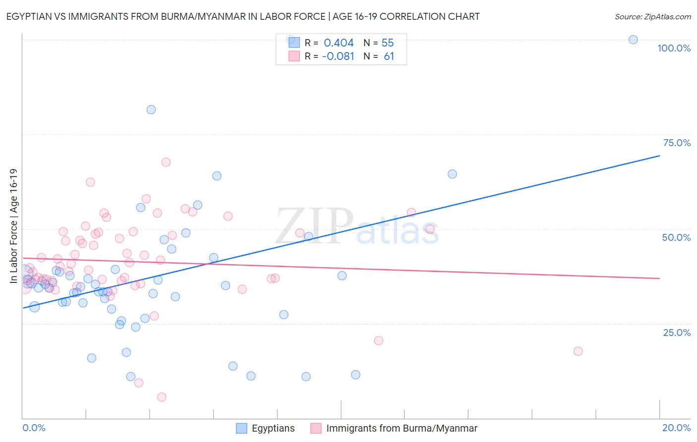 Egyptian vs Immigrants from Burma/Myanmar In Labor Force | Age 16-19