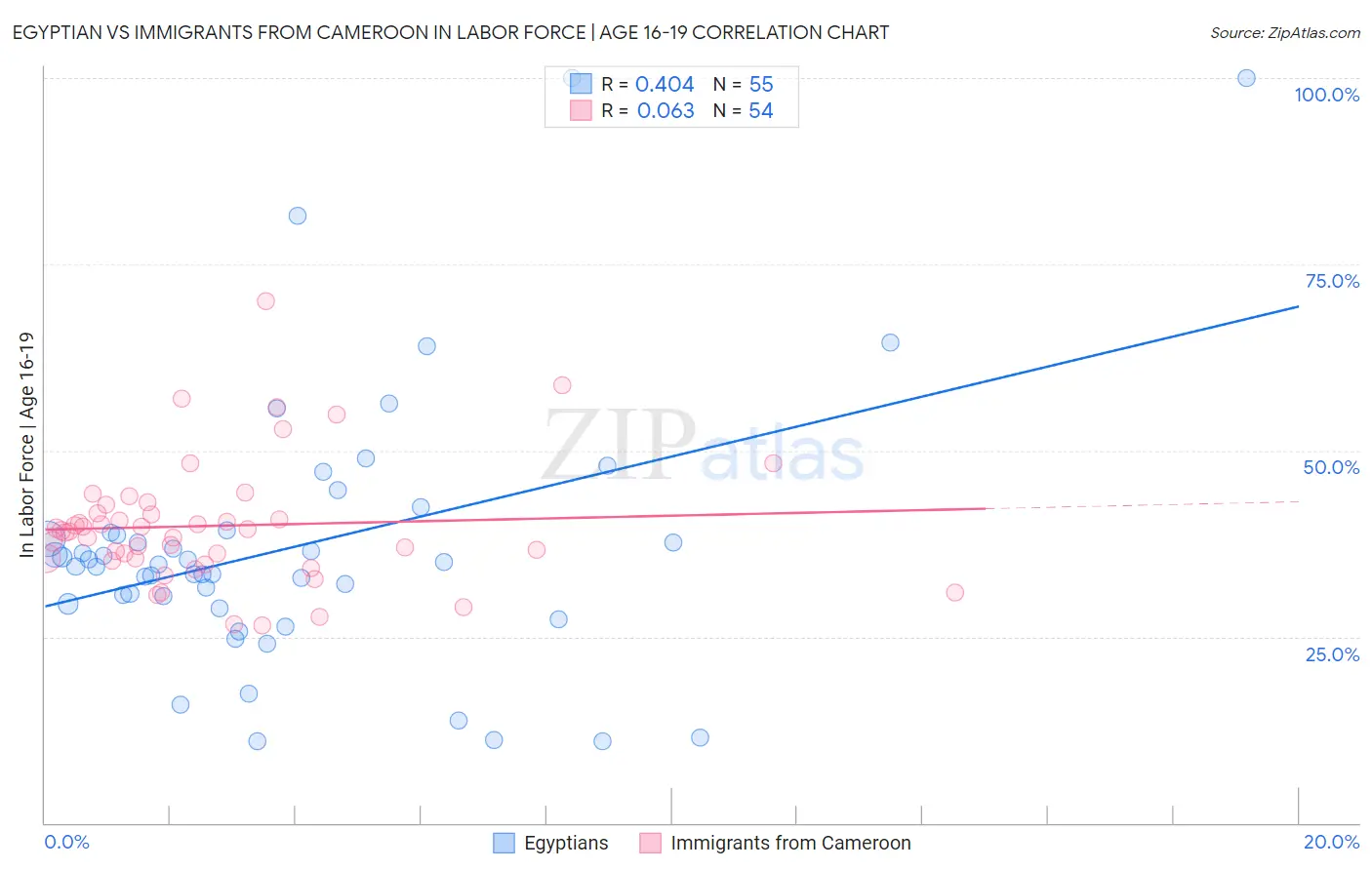 Egyptian vs Immigrants from Cameroon In Labor Force | Age 16-19