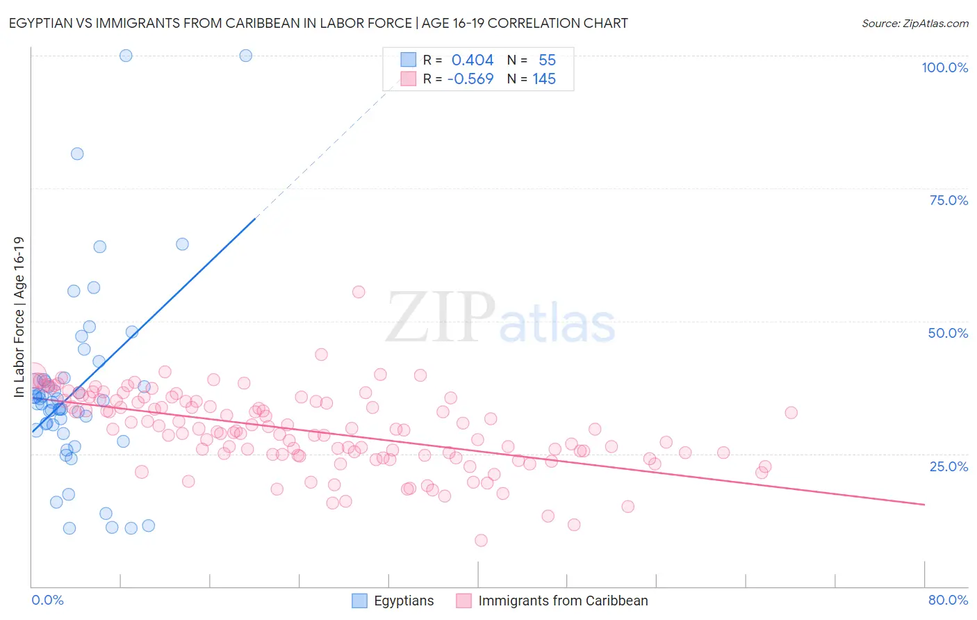Egyptian vs Immigrants from Caribbean In Labor Force | Age 16-19