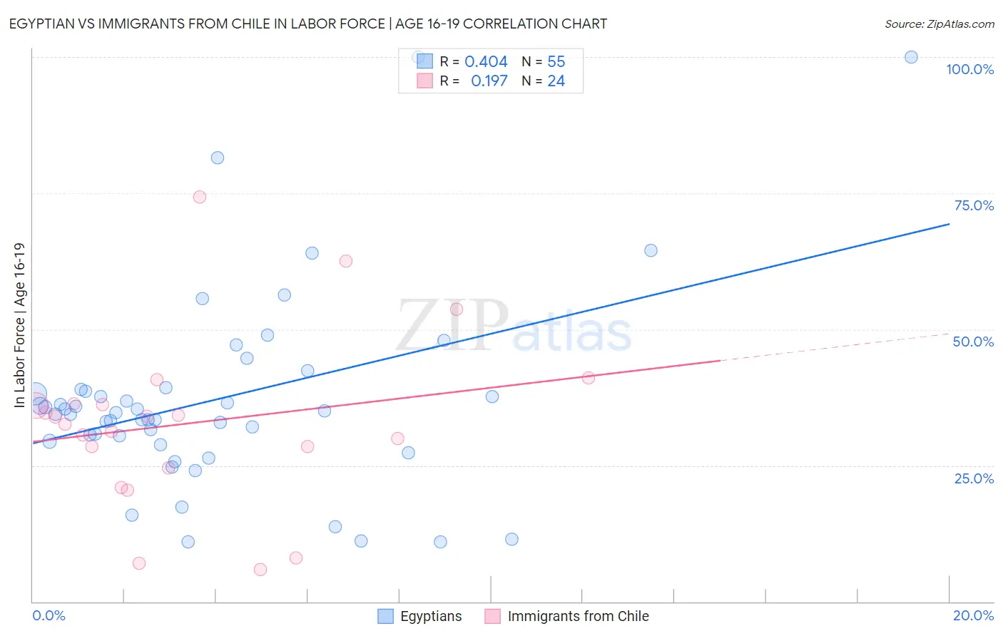 Egyptian vs Immigrants from Chile In Labor Force | Age 16-19