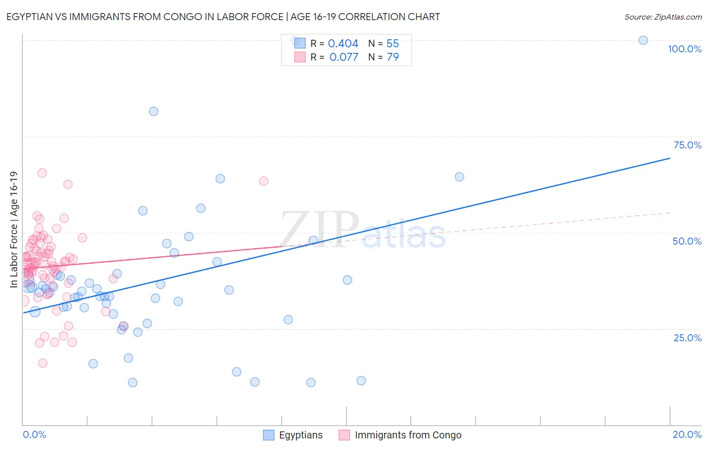 Egyptian vs Immigrants from Congo In Labor Force | Age 16-19