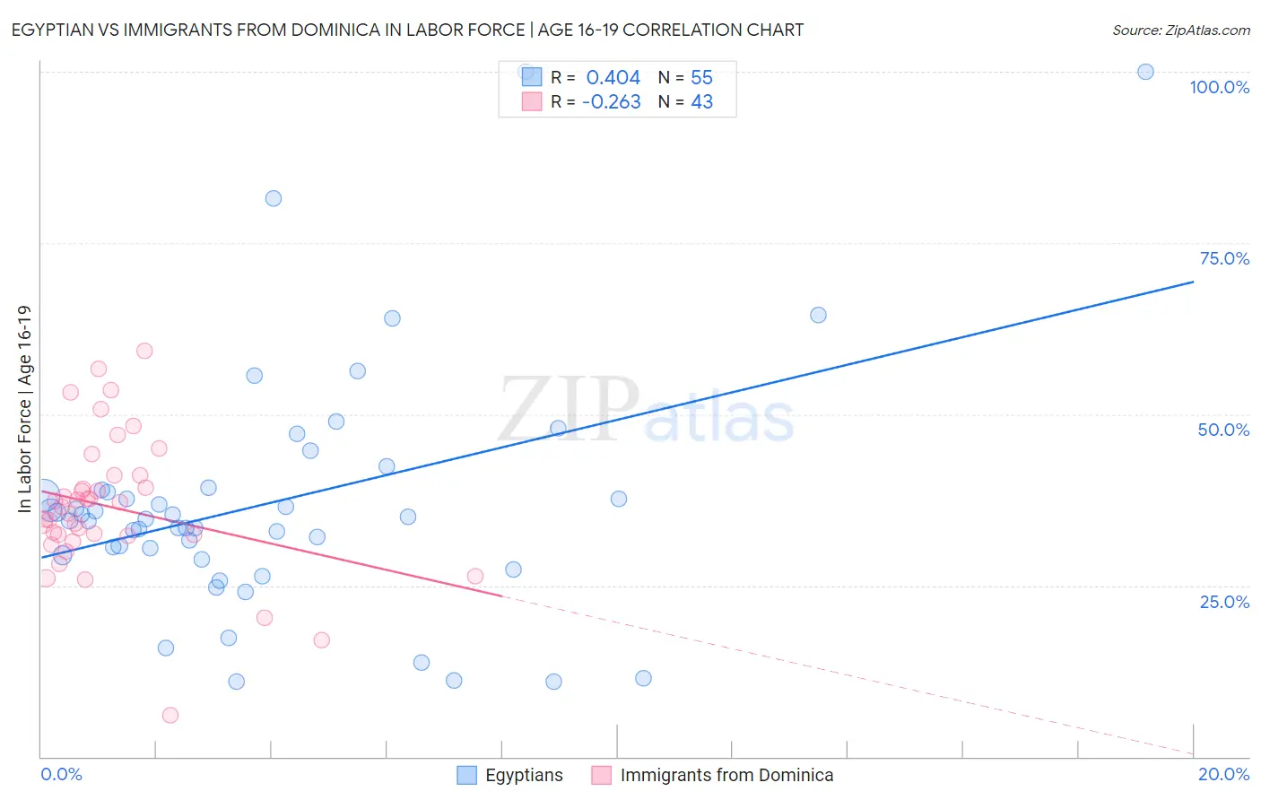 Egyptian vs Immigrants from Dominica In Labor Force | Age 16-19
