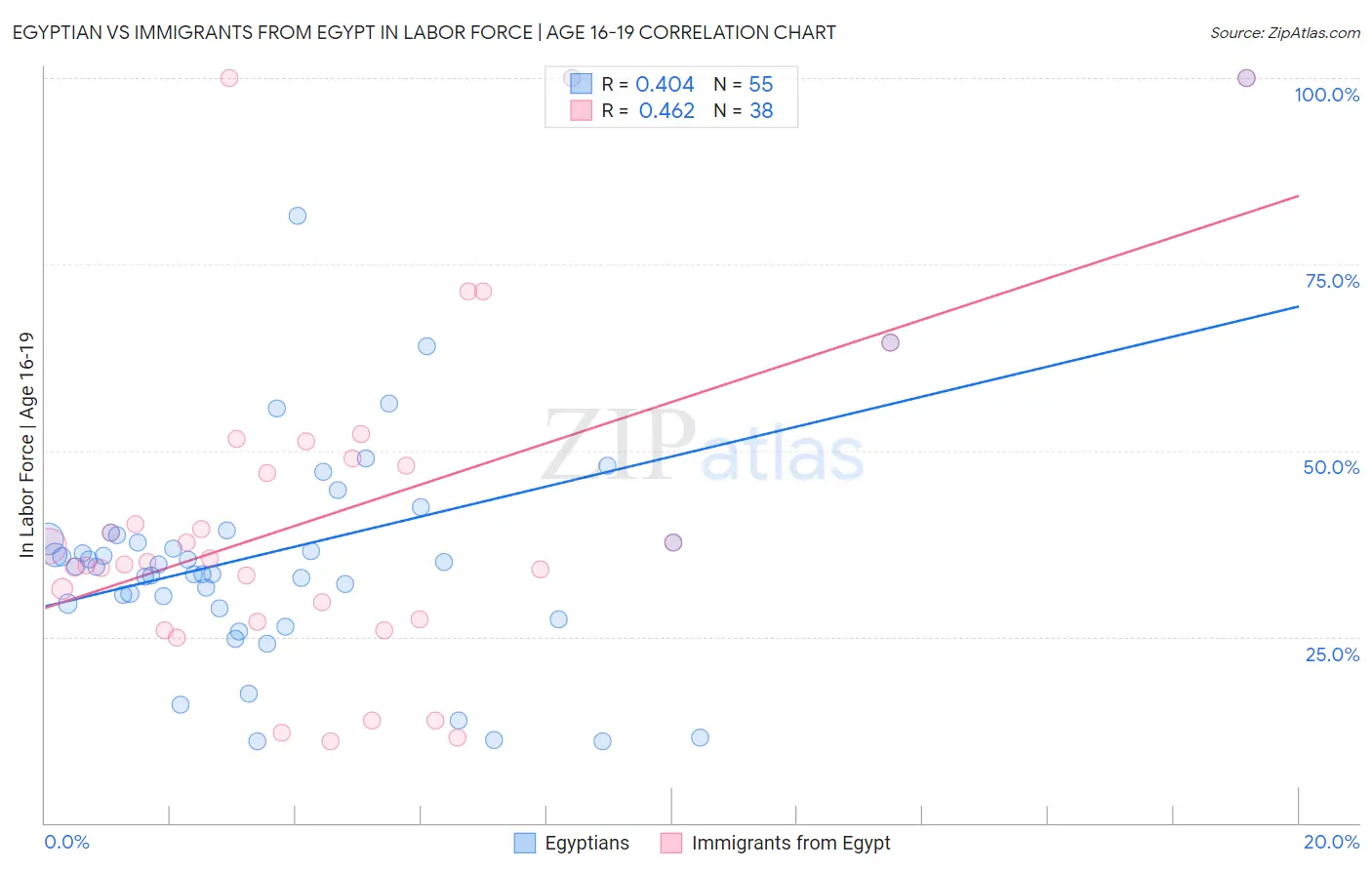 Egyptian vs Immigrants from Egypt In Labor Force | Age 16-19