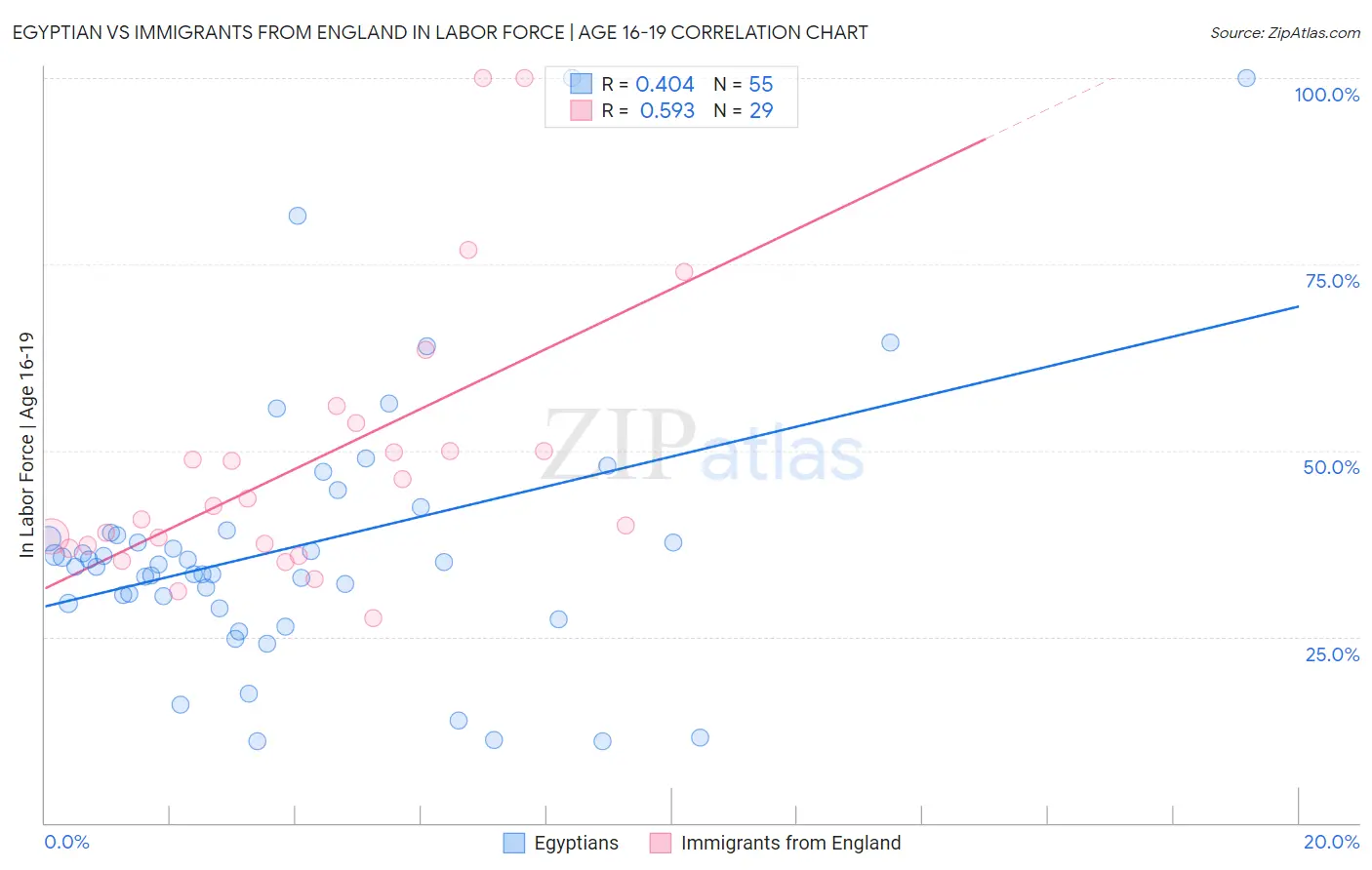 Egyptian vs Immigrants from England In Labor Force | Age 16-19
