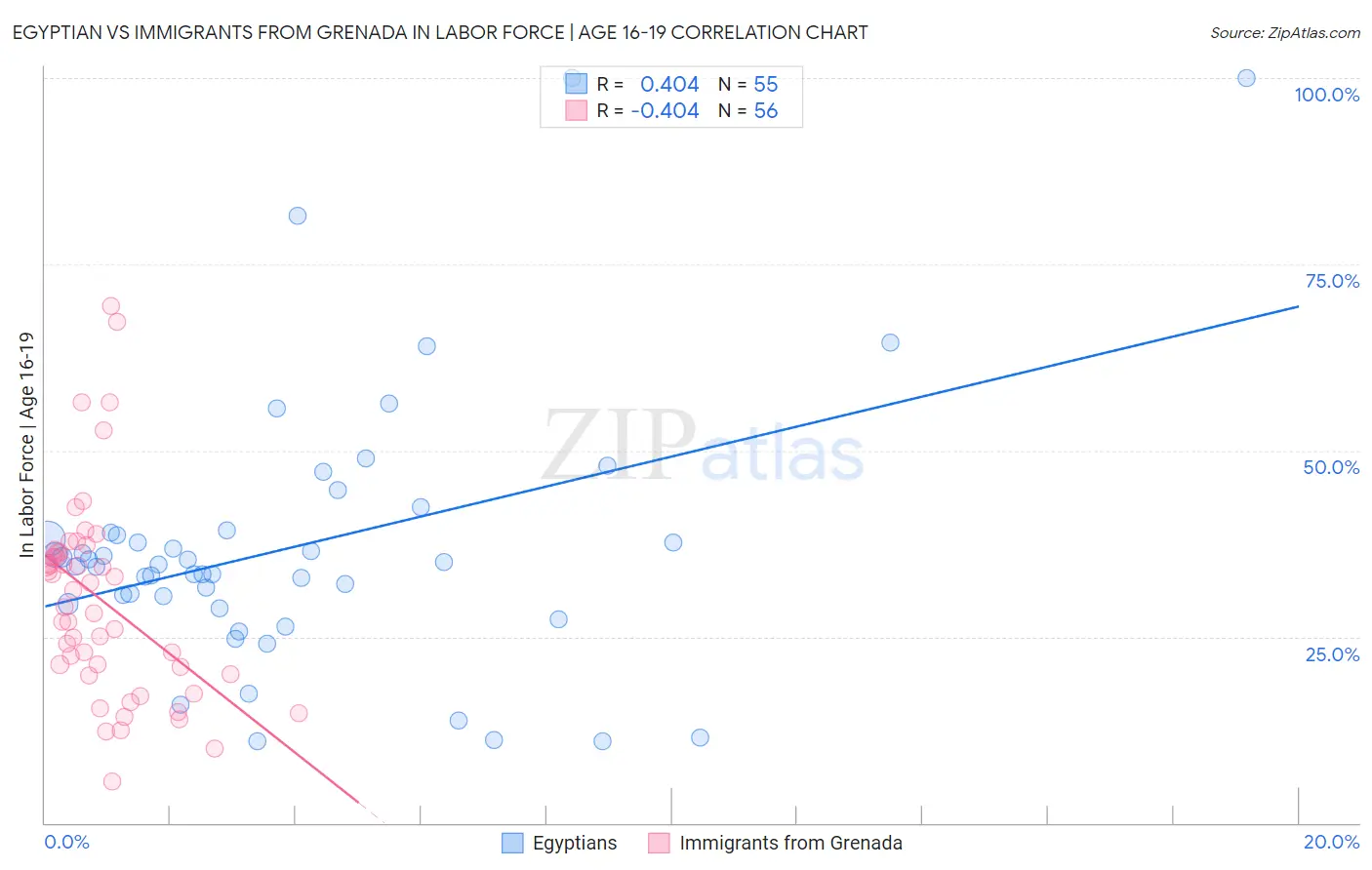 Egyptian vs Immigrants from Grenada In Labor Force | Age 16-19
