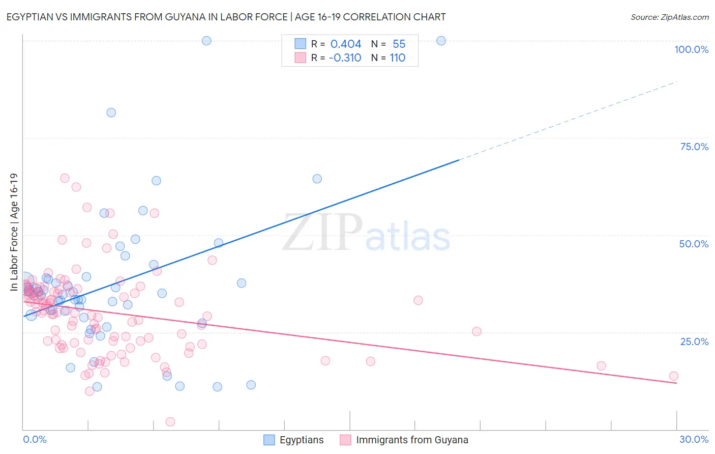 Egyptian vs Immigrants from Guyana In Labor Force | Age 16-19