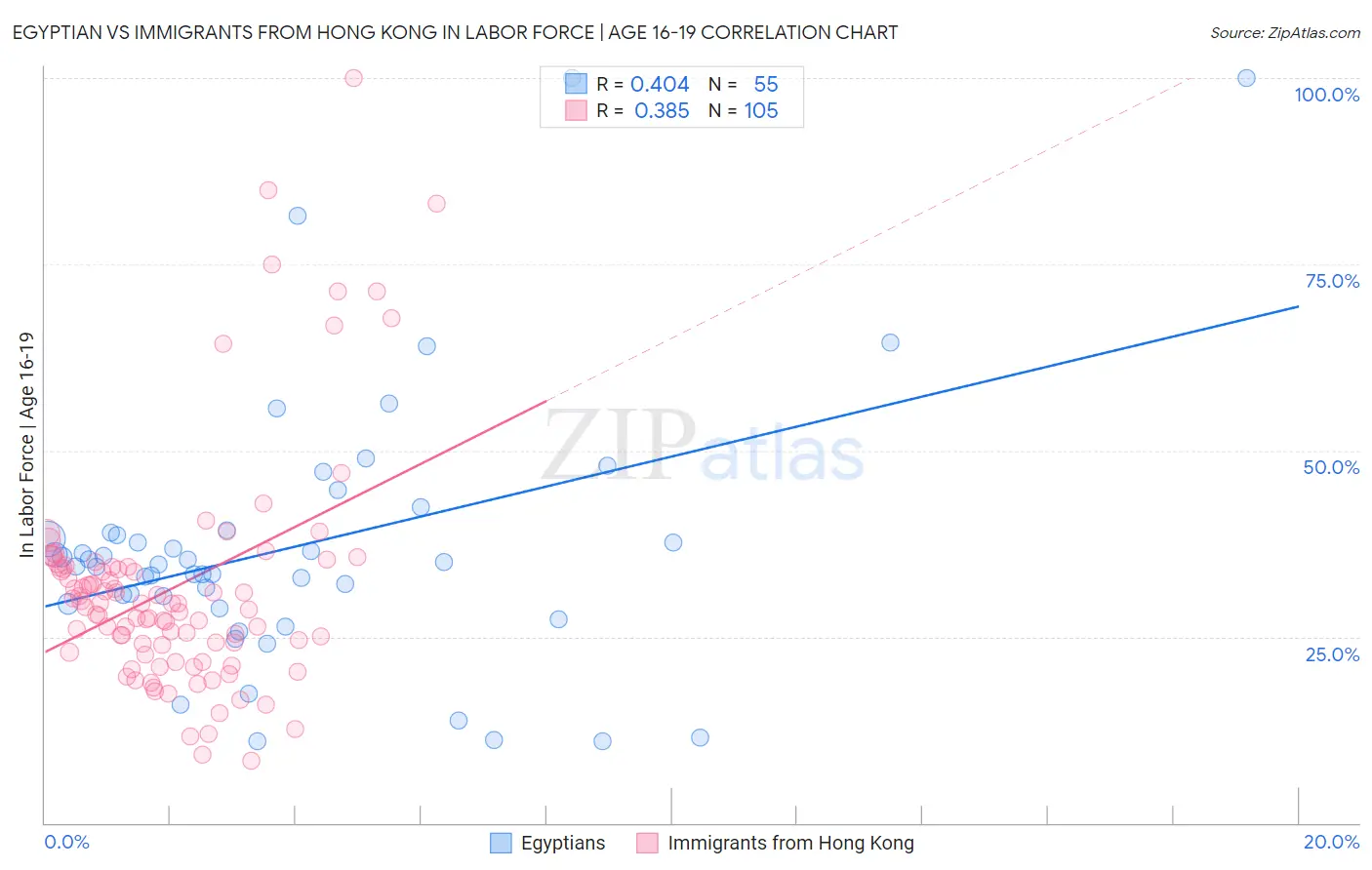 Egyptian vs Immigrants from Hong Kong In Labor Force | Age 16-19