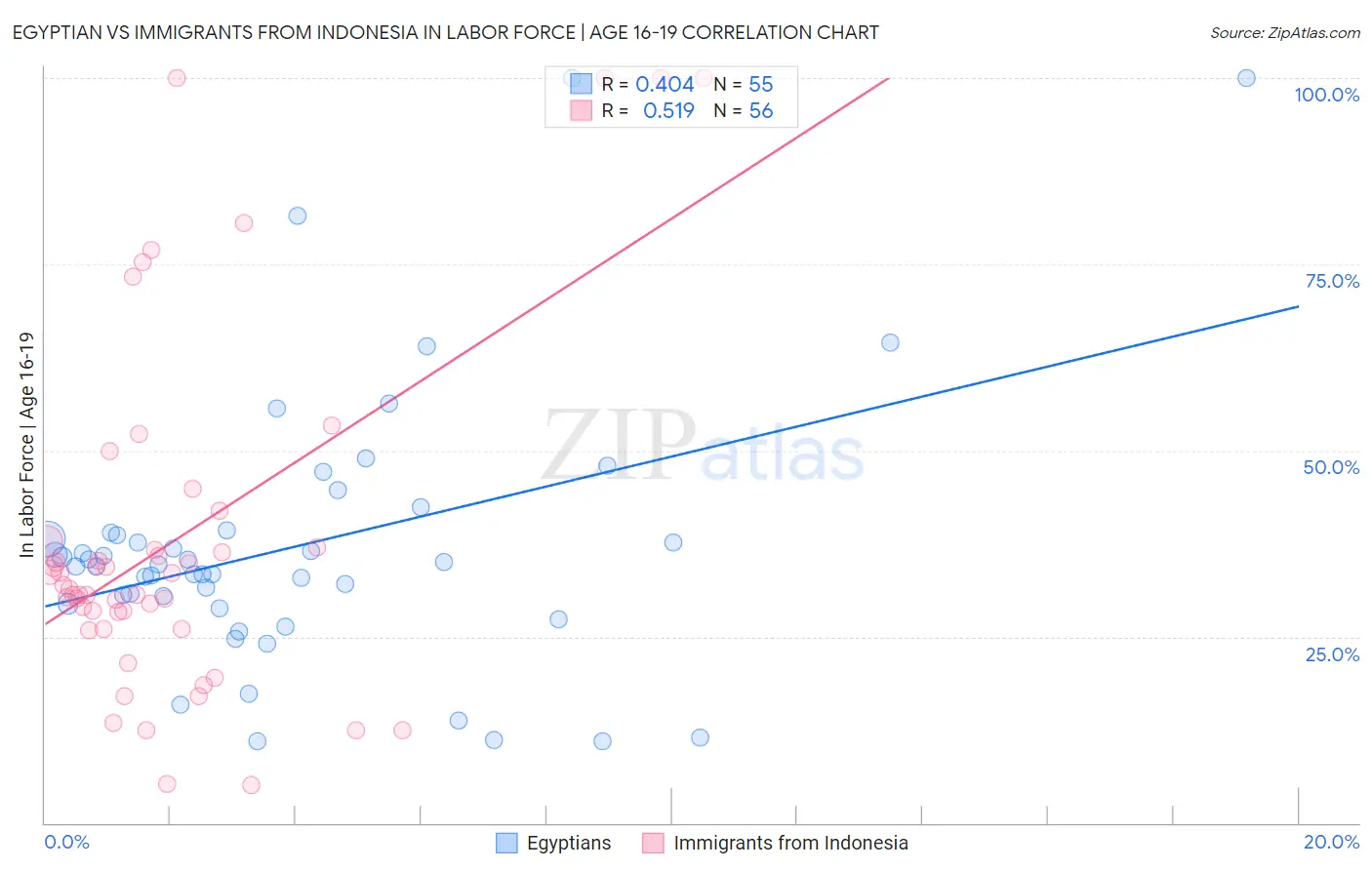 Egyptian vs Immigrants from Indonesia In Labor Force | Age 16-19