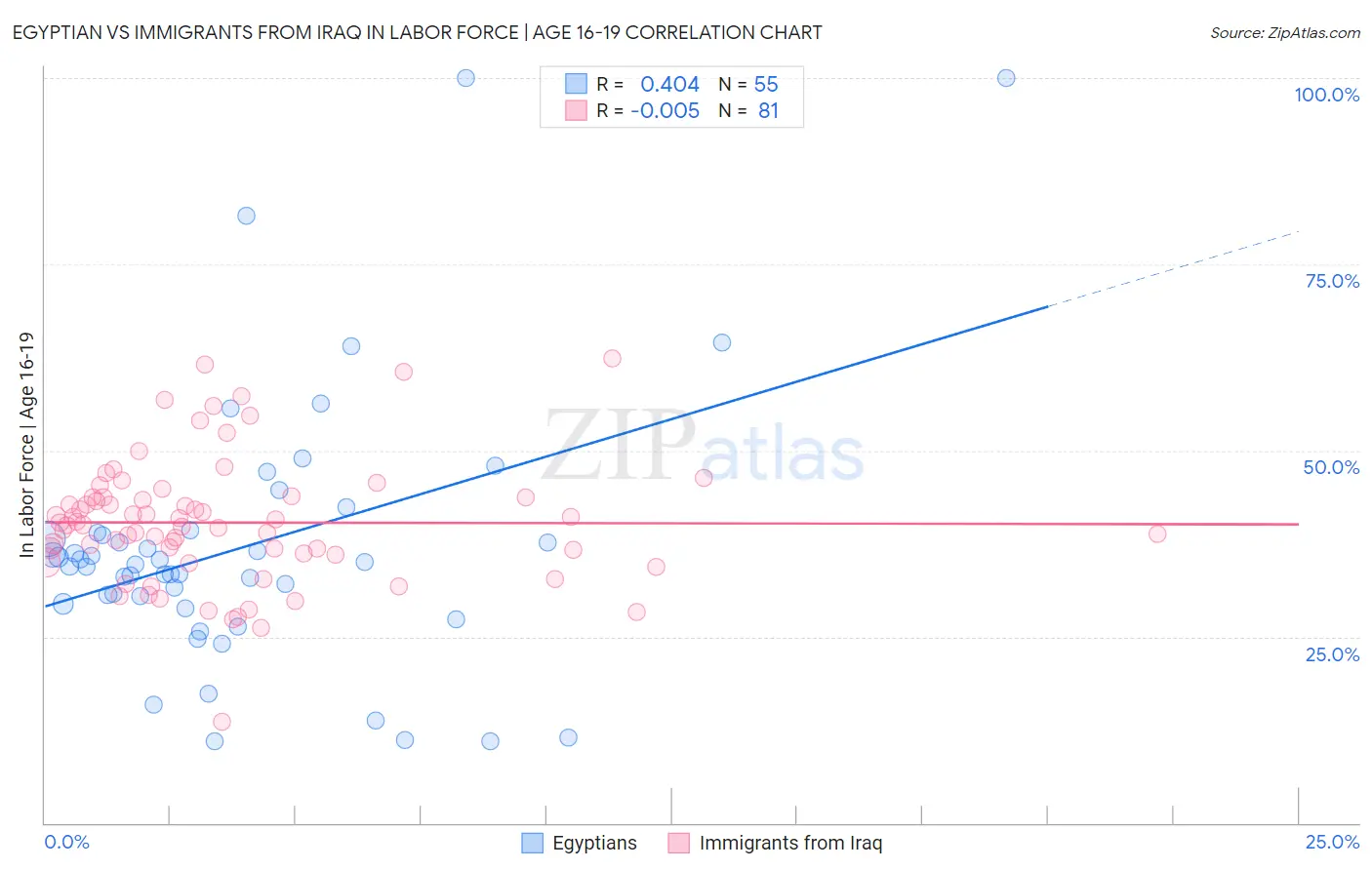 Egyptian vs Immigrants from Iraq In Labor Force | Age 16-19